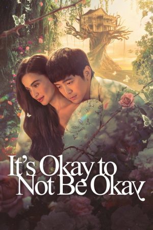 It’s Okay to Not Be Okay (2025) poster