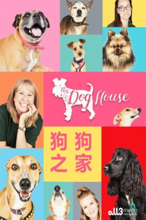 狗狗之家 (2020) poster