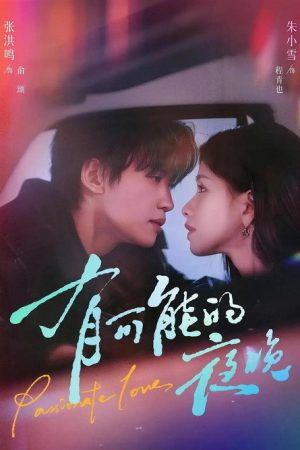 有可能的夜晚 (2026) poster
