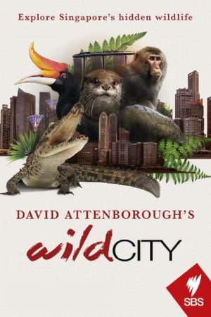 David Attenborough’s Wild City (2016) poster