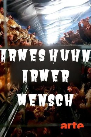 Armes Huhn poster