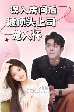 误入房间后，被顶头上司宠入怀 (2023) poster