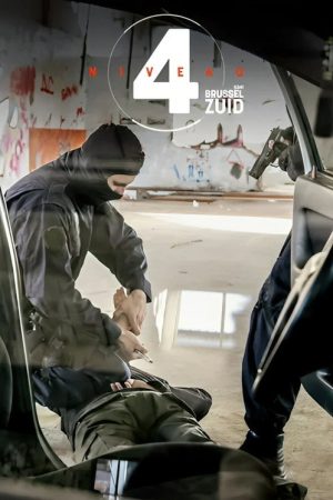 Niveau 4 (2016) poster
