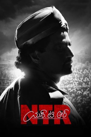 N.T.R: Kathanayakudu (2019) poster