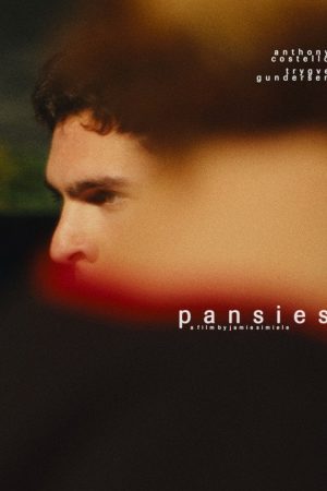 pansies (2025) poster
