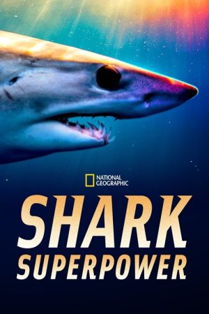 Shark Superpower (2022) poster
