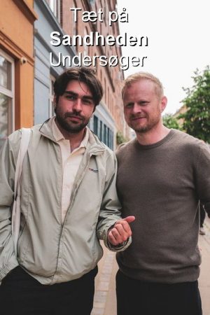 Tæt på Sandheden Undersøger (2025) poster