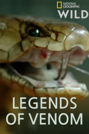Legends of Venom (2023) poster