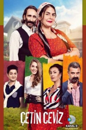 Çetin Ceviz (2016) poster