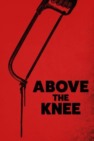 Above the Knee (2024) poster
