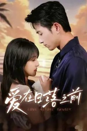 爱在日落之前 (2025) poster