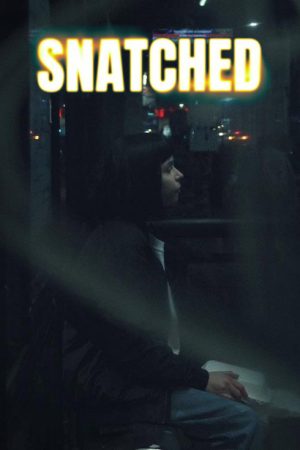Snatched (2026) poster
