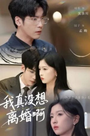 我真没想离婚啊 (2025) poster