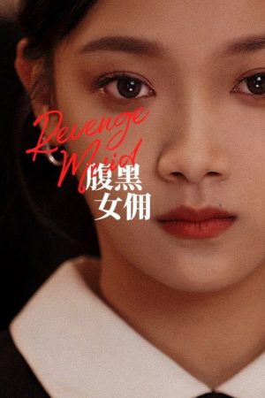 Revenge Maid (2023) poster