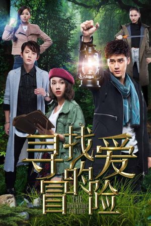 The Adventure for Love (2016) poster