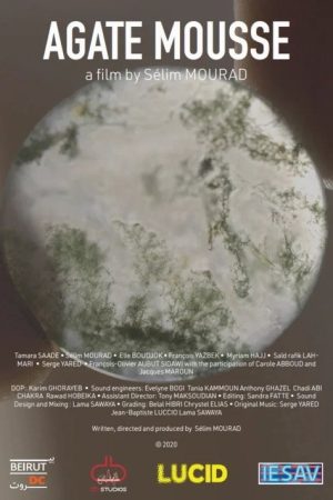 Moss Agate (2021) poster