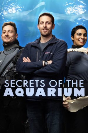 Secrets of the Aquarium (2023) poster