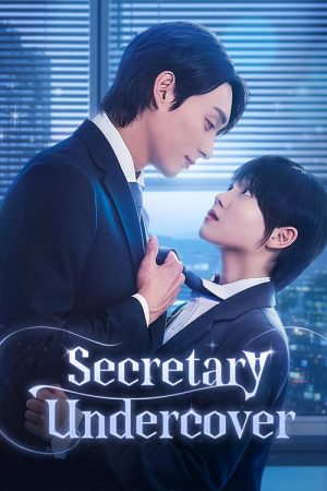 Secretary Undercover (2025) poster