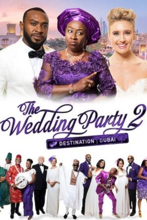 The Wedding Party 2: Destination Dubai (2017) poster