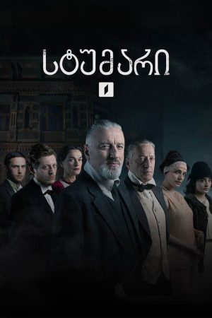 სტუმარი (2023) poster