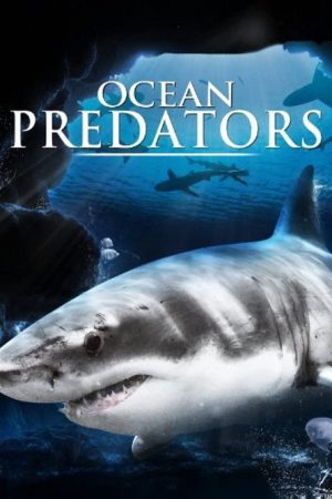 Ocean Predators (2019) poster