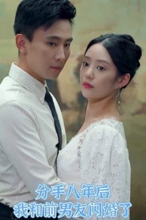 分手八年后我和前男友闪婚了 (2023) poster