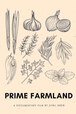 Prime Farmland (2020) poster