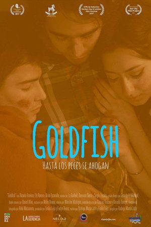 Goldfish (2017) poster