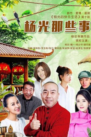 杨光那些事 (2016) poster