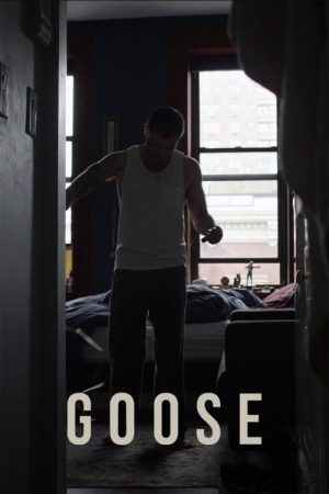 Goose (2017) poster