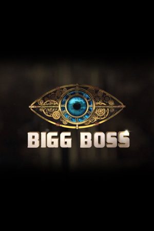 Bigg Boss (2017) poster