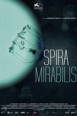 Miraculous Spiral (2016) poster