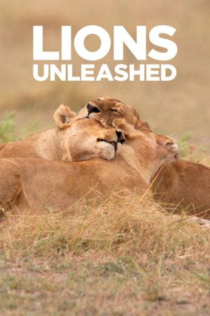 Lions Unleashed (2017) poster