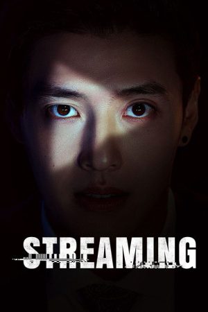 Streaming (2025) poster