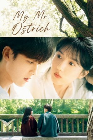 My Mr. Ostrich (2026) Web Series — Cast, Story & Where to Watch | MovieLinkBD poster