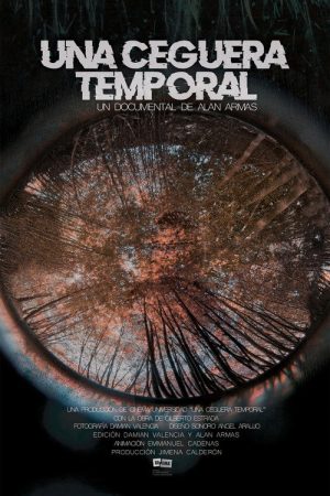 Una Ceguera Temporal (2020) poster