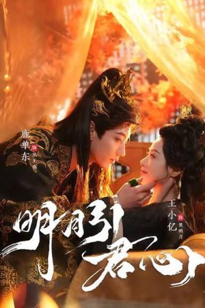 明月引君心 (2026) poster