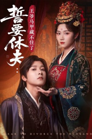 誓要休夫: 王爷马甲藏不住了 (2025) poster