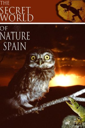 The Secret World of Nature: Spain (2020) poster