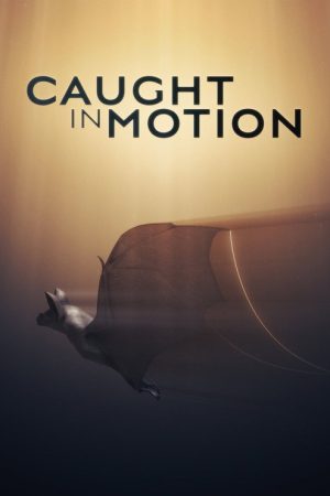 Caught in Motion (2025) poster