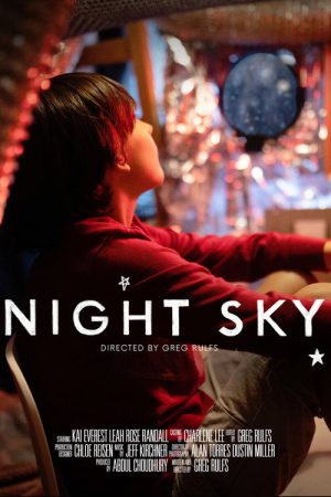 Night Sky (2020) poster