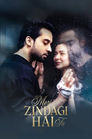 Meri Zindagi Hai Tu (2025) poster