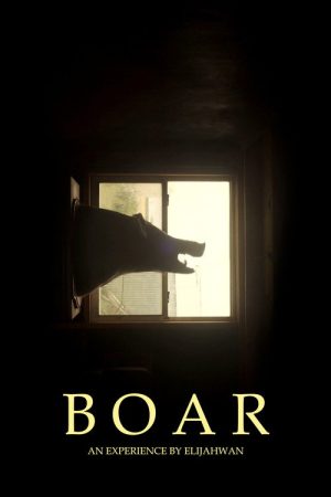 B O A R (2020) poster