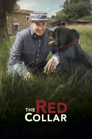 The Red Collar (2018) poster