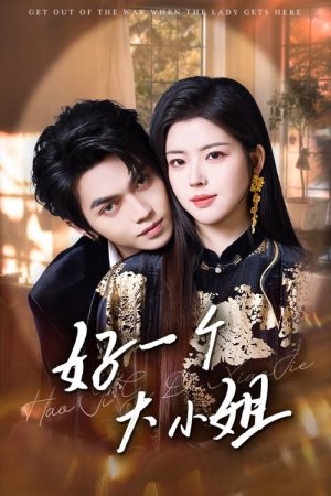 好一个大小姐 (2025) poster