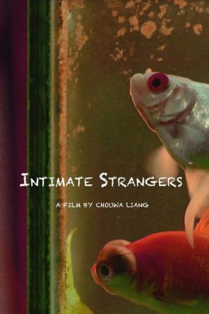Intimate Strangers (2020) poster
