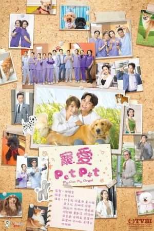My Pet My Angel (2023) poster