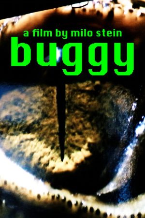 buggy (2026) poster