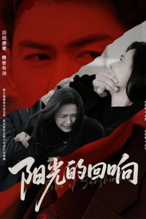 阳光的回响 (2025) poster