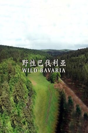 野性巴伐利亚 (2019) poster